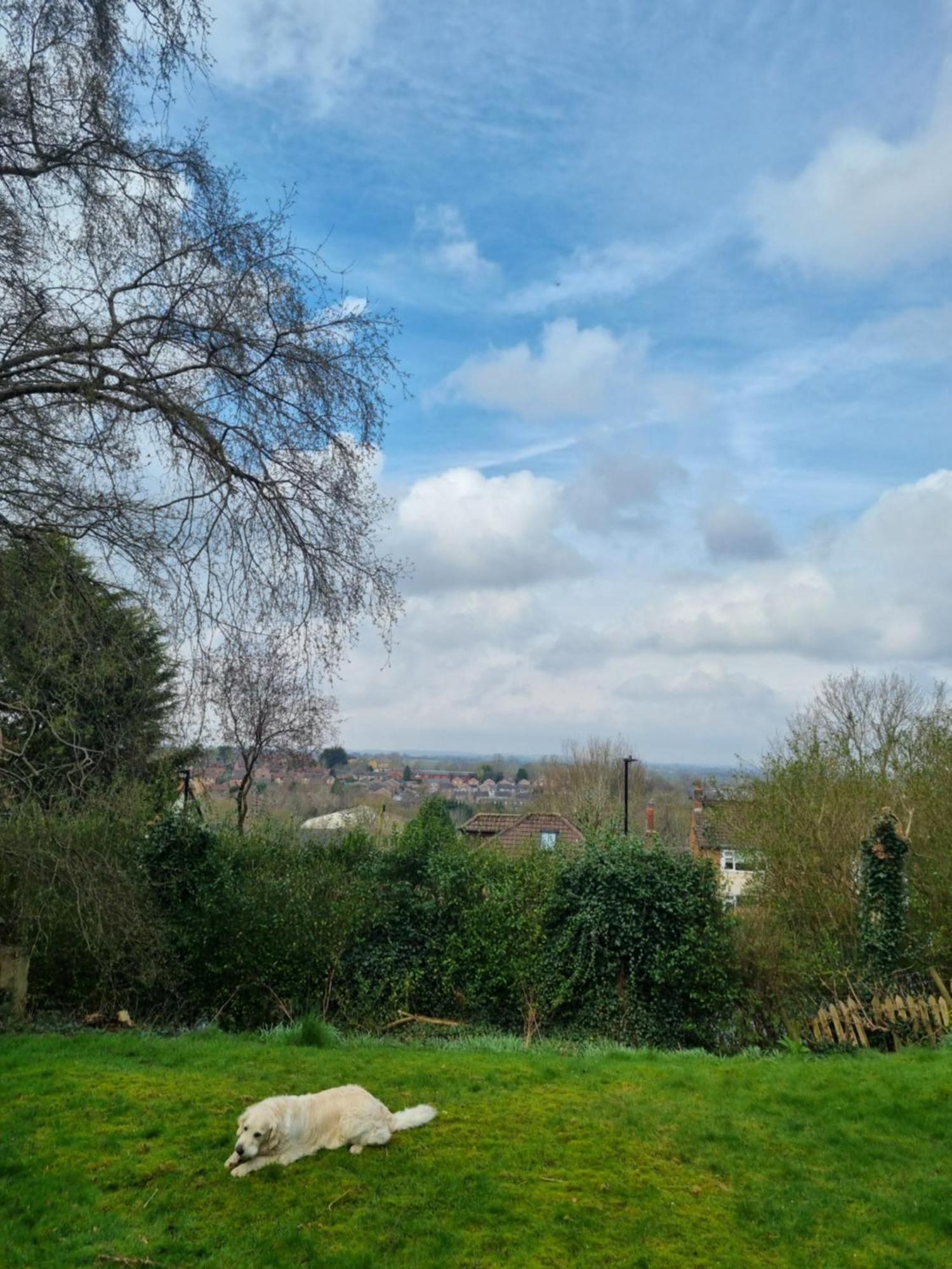 Halcyon Lägenhet Harrogate Exteriör bild