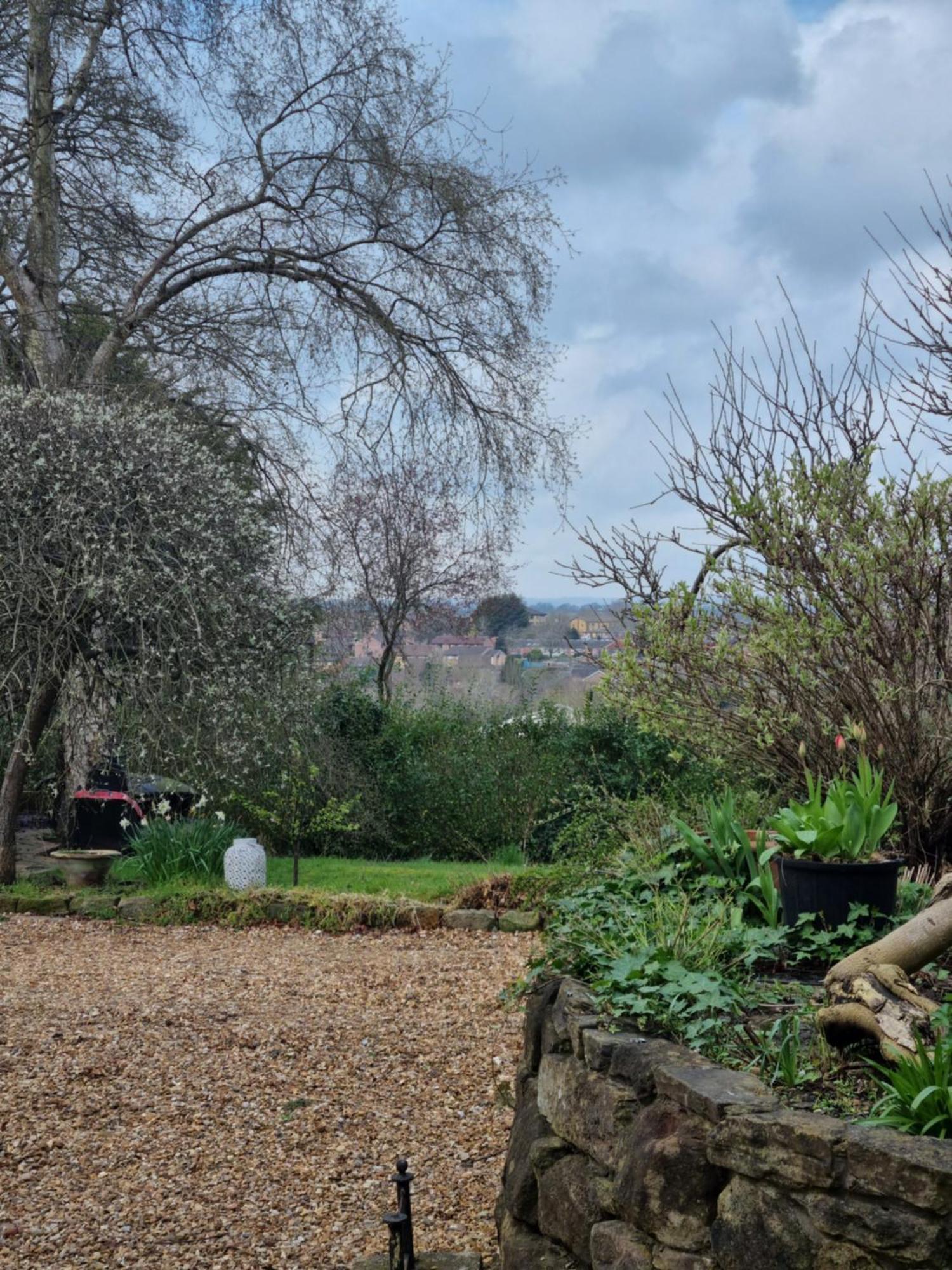 Halcyon Lägenhet Harrogate Exteriör bild